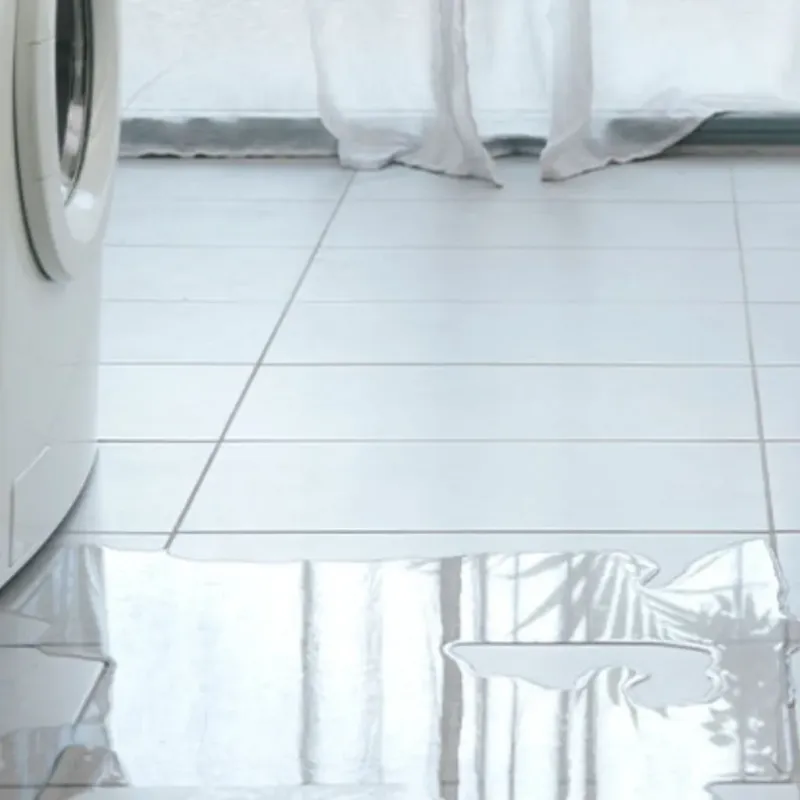 Appliance Leak Cleanup in Washington County, WI
