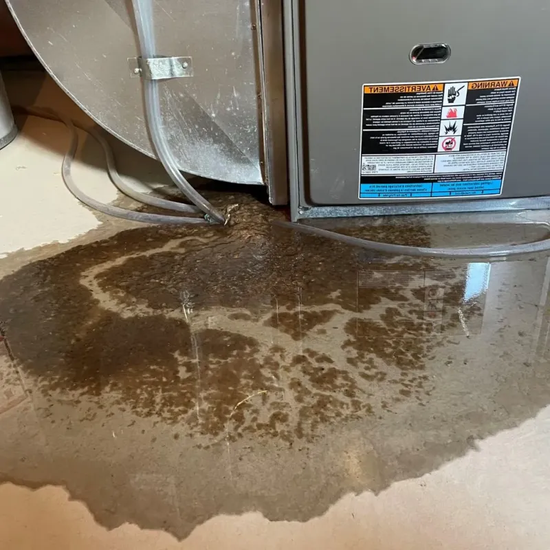 Pipe Burst and Leak Restoration in Washington County, WI